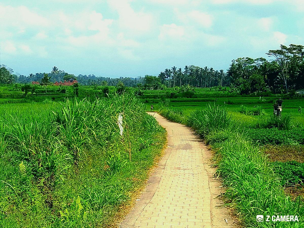 Amara Giri I Ubud Exterior foto