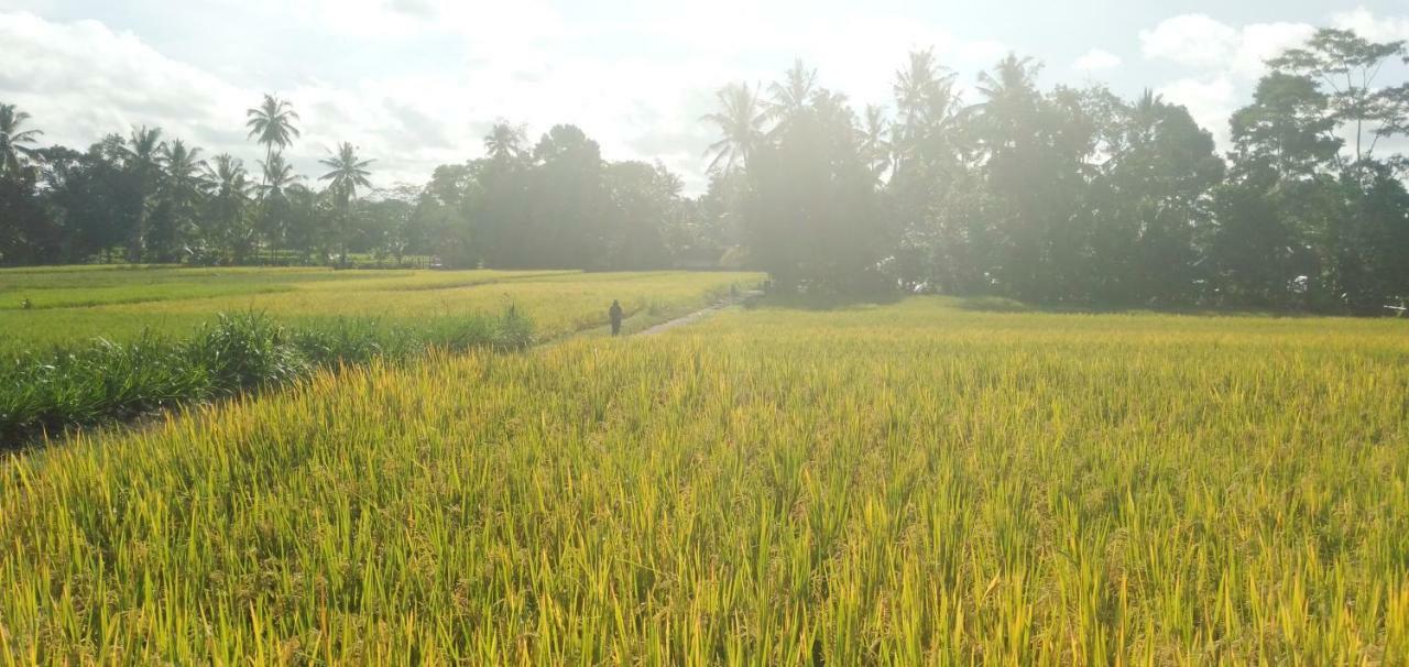 Amara Giri I Ubud Exterior foto
